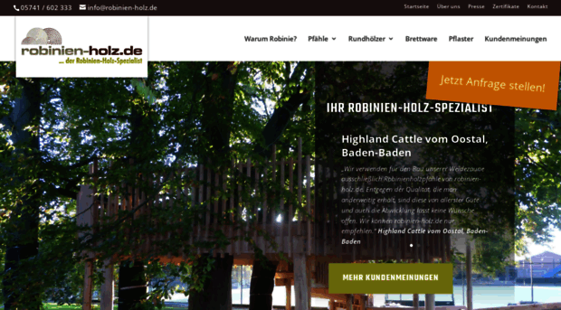 robinien-holz.com