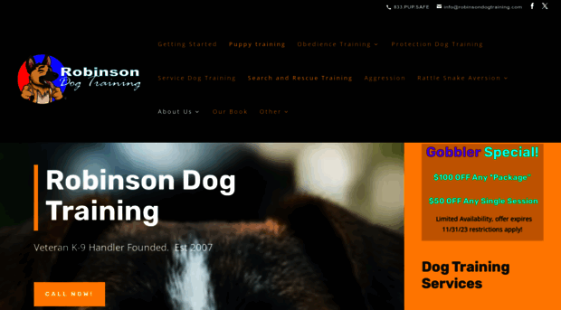 robinsondogtraining.com