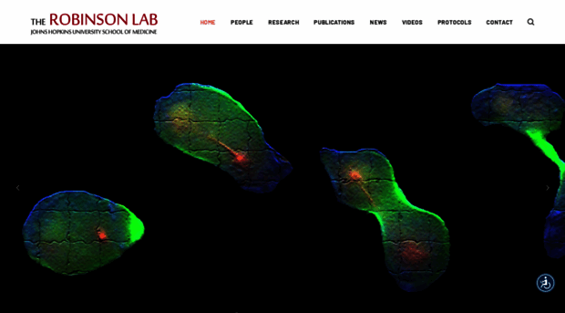 robinsonlab.cellbio.jhmi.edu