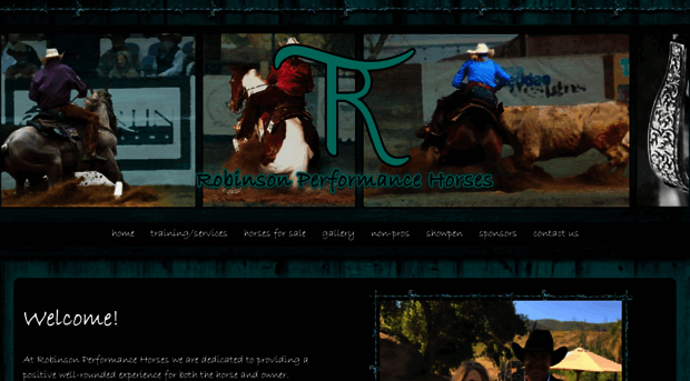 robinsonperformancehorses.net