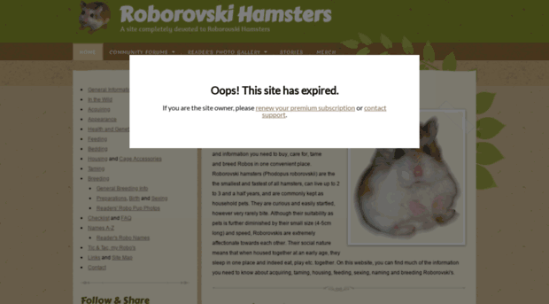 roborovskihamsters.webs.com