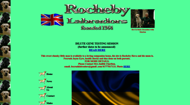 rochebylabradors.co.uk
