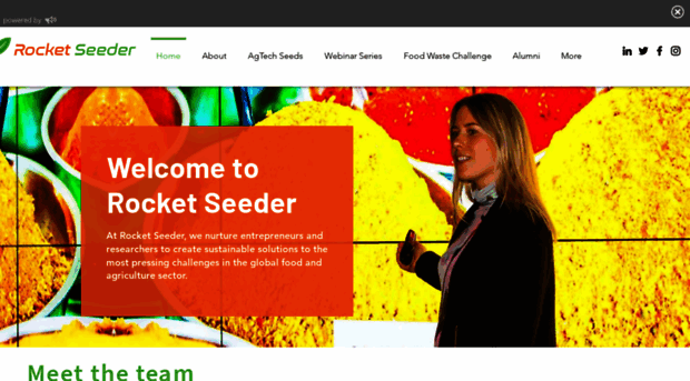 rocketseeder.com