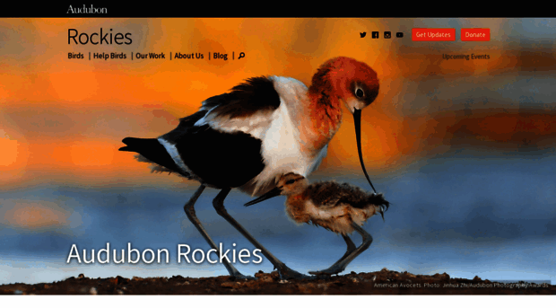 rockies.audubon.org