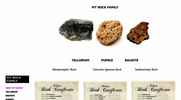 rockinfamily.weebly.com