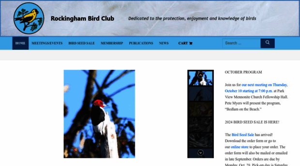 rockinghambirdclub.com