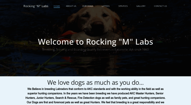 rockingmlabs.com