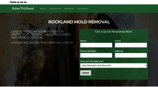 rocklandnymoldremoval.com