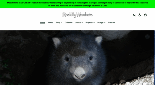 rocklilywombats.com