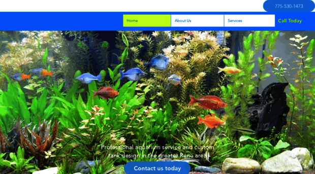 rockstaraquarium.com