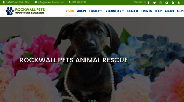 rockwallpets.com