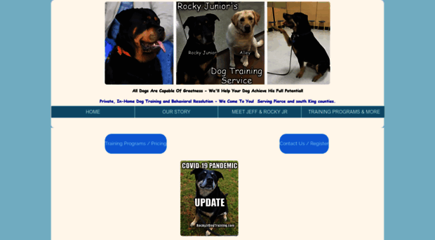 rockyjrdogtraining.com