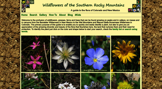 rockymountainsflora.com