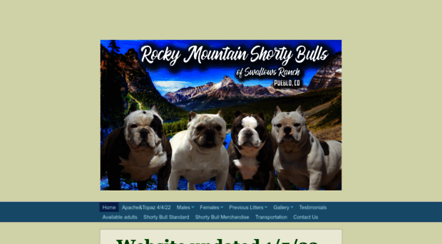 rockymountainshortybulls.com