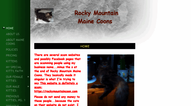 rockymtnmainecoons.com