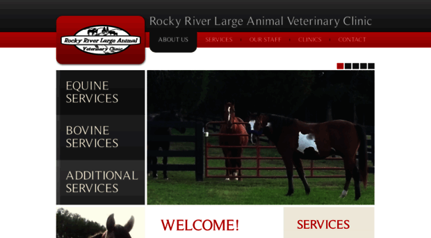 rockyrivervets.com