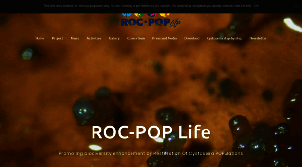 rocpoplife.eu