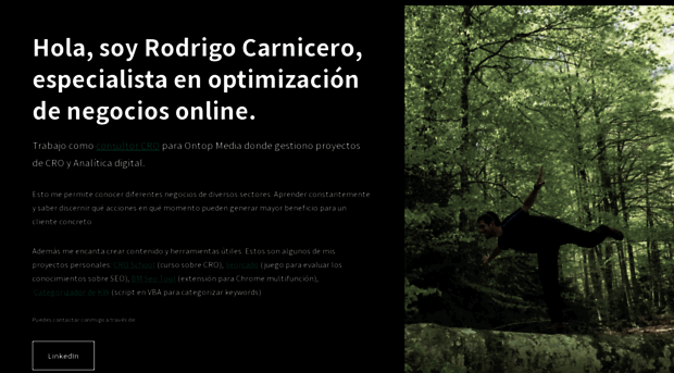 rodrigocarnicero.com