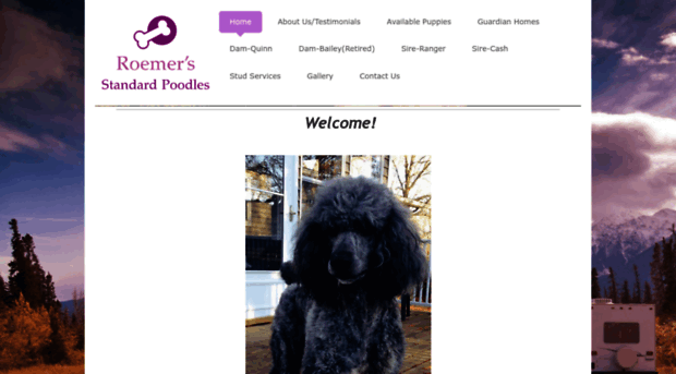 roemersstandardpoodles.com