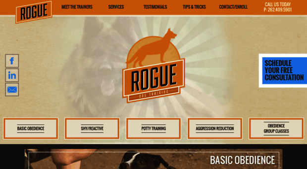 roguedogtraining.com