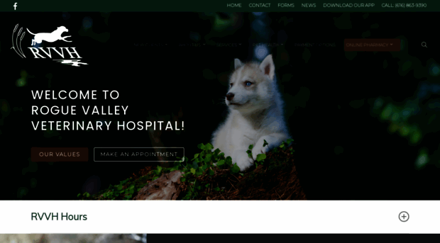 roguevalleyvet.com