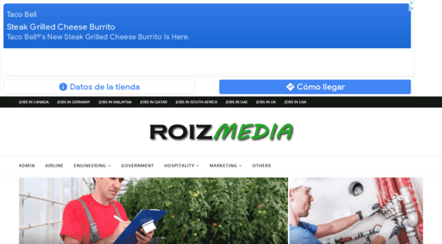 roizmedia.com