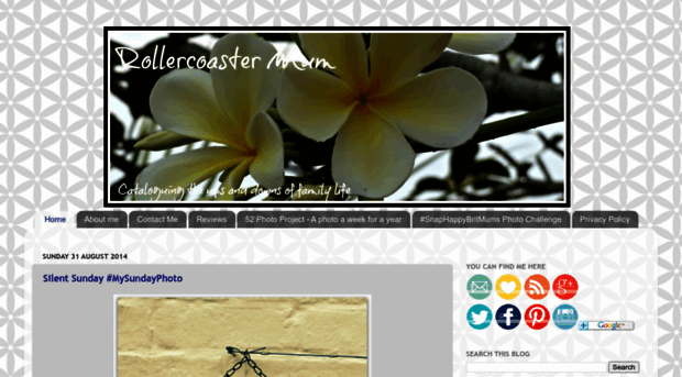 rollercoaster-mum.blogspot.ca