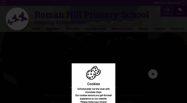 romanhill-pri.suffolk.sch.uk