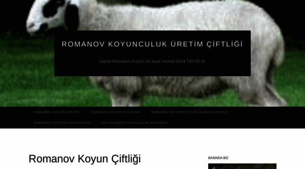 romanovkoyunculuk.wordpress.com