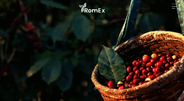romex.pe
