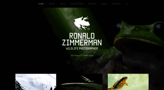 ronaldzimmerman.nl