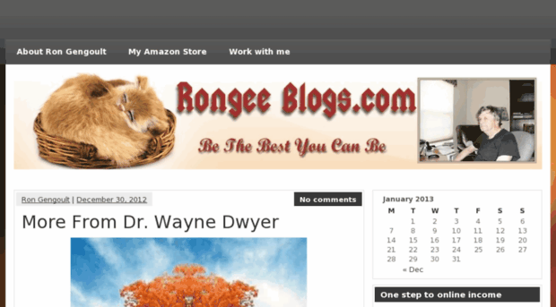 rongeeblogs.com