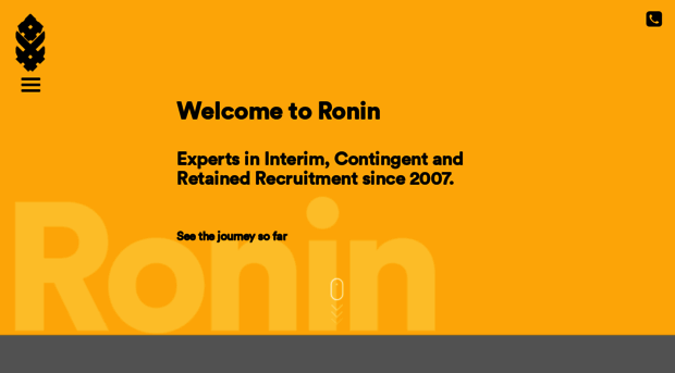 ronin-ltd.com