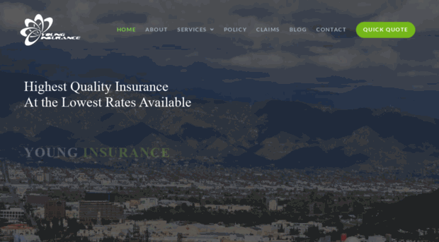ronyounginsurance.com