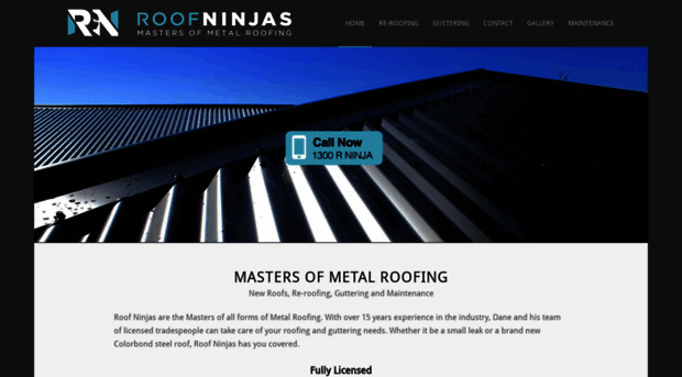 roofninjas.net