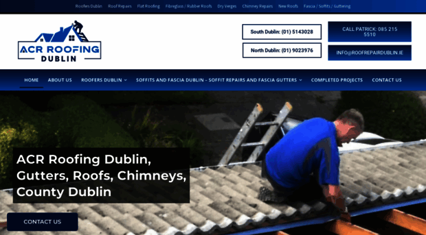 roofrepairdublin.ie