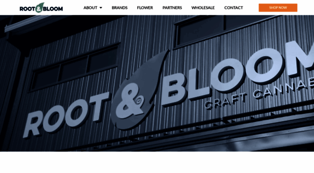 rootandbloominc.com