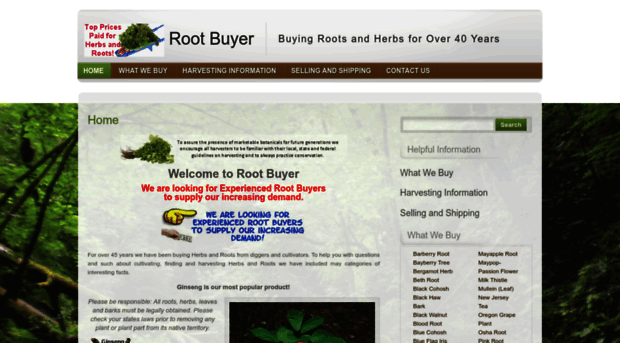 rootbuyer.com