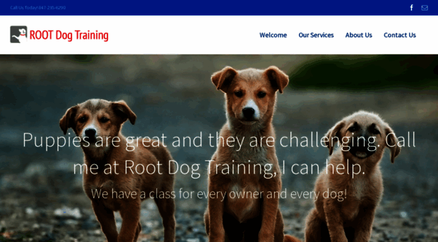 rootdogtraining.com