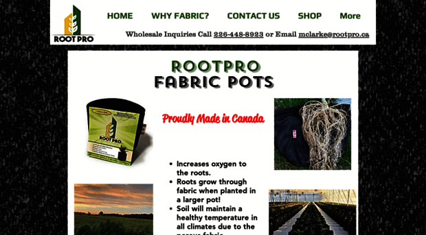 rootpro.ca