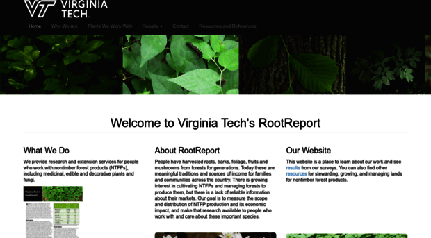 rootreport.frec.vt.edu