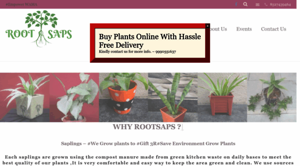 rootsaps.com