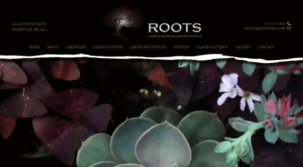 rootsde.com