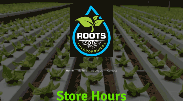rootshydroponics.com