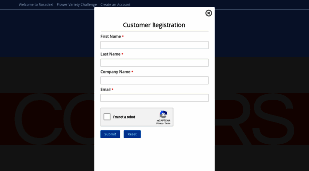 rosadex.com