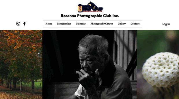 rosannaphotoclub.com
