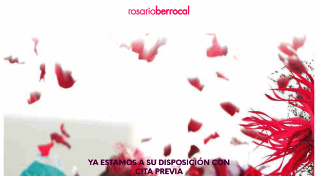 rosarioberrocal.com