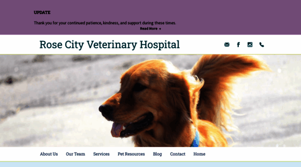 rosecityvet.com