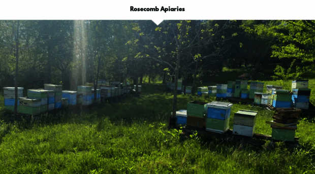 rosecombapiaries.com