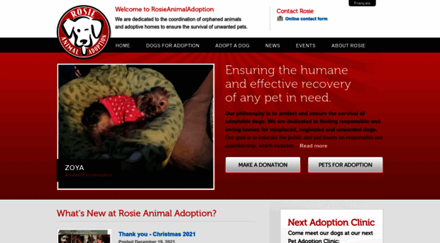 rosieanimaladoption.com